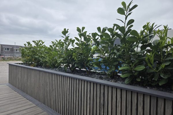 DECK SMART LIBRARY - 2026-04-28 09.31.58